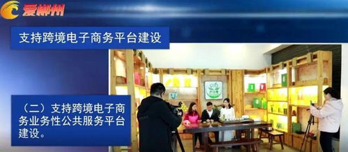 郴州市出台支持跨境电子商务产业高质量发展的若干措施，助推电商平台开发建设