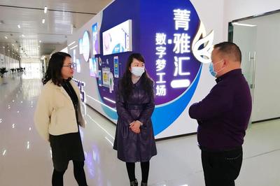 团市委书记李平调研雅安经开区共青团工作，重点考察电子商务平台开发建设